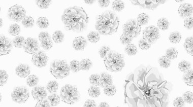 Güller, çiçek Seamless modeli.