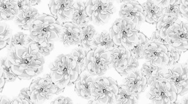 Güller, çiçek Seamless modeli.