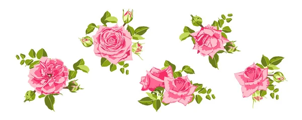 Vintage Roses Kollektion für Hochzeitsdesign. — Stockvektor