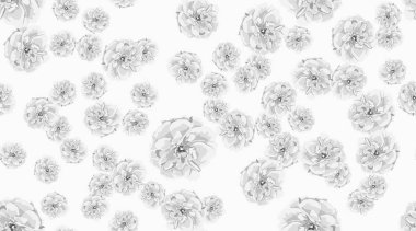 Güller, çiçek Seamless modeli.