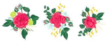 Düğün kartı davet tasarım, vektör gül.