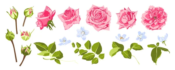 Συλλογή vintage τριαντάφυλλα για γάμο σχεδιασμό. — Διανυσματικό Αρχείο