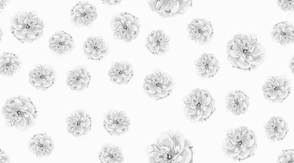 Roses, Floral Seamless Pattern.