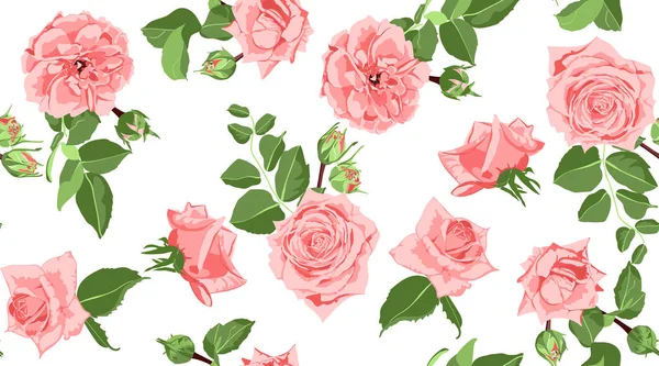 Padrão de rosa floral sem costura com folhas . —  Vetores de Stock