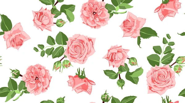 Naadloze bloemmotief Rose met bladeren. — Stockvector