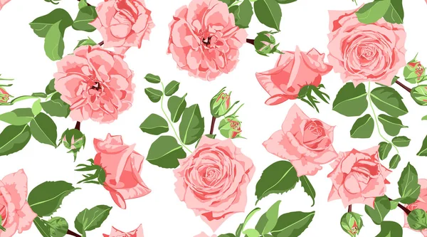 Bezproblémové květinový vzor růže s listy. — Stockový vektor