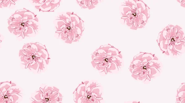 Roses aquarelle, motif floral sans couture . — Image vectorielle