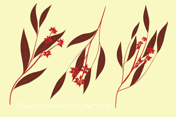 Eucalyptus Vector. Decorative Vector Leaves and Branches. Elegant Foliage. Beautiful Floral Element for Wedding Design. Tropical Plants. Flowers Isolated and Eucalyptus Vector for Card, Invitation. — Stock Vector