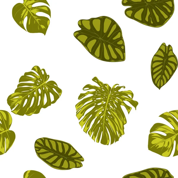 Tropical Leaves. Patrón sin costura con hojas dibujadas a mano de Monstera y Alocasia. Exotic Rapport for Textile, Tela. Fondo sin costura vectorial con plantas tropicales. Jungle Foliage. Efecto acuarela . — Vector de stock