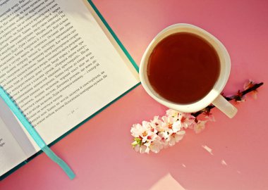 Pencere iç pervaz flatlay üzerinde ilginç bir kitap yanındaki yeşil bitki çayı 