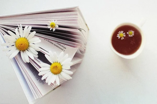 Kräutertee Wurde Einem Sonnigen Morgen Mit Einem Buch Behandelt — Stockfoto