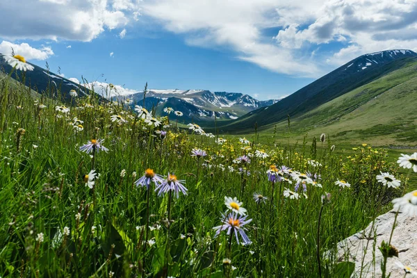 Dağ altay. Altay. Bulut. Gökyüzü. Ukok.