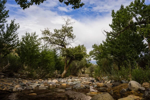 Dağ altay. Chagan-Uzun. Mars manzaralar. Bulut. Gökyüzü.
