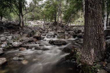 Dağ altay. Altay. Bulut. Gökyüzü.