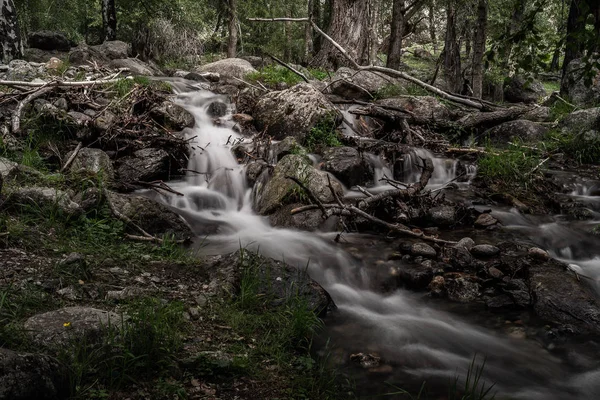 Dağ altay. Altay. Bulut. Gökyüzü.