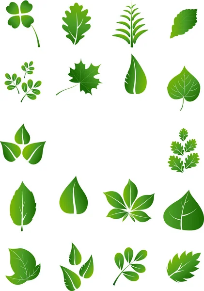 Set Green Leaves Design Elements Image Vector Illustration — Stock Photo, Image