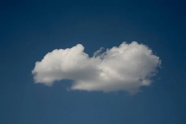 Tirelessly Cloud Flies Blue Sky Wings Air Currents — Stock Photo, Image