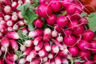 Demet bütün, ham Fransız kahvaltı turp ve pembe yuvarlak turp bir Fransız gıda pazarında Satılık.