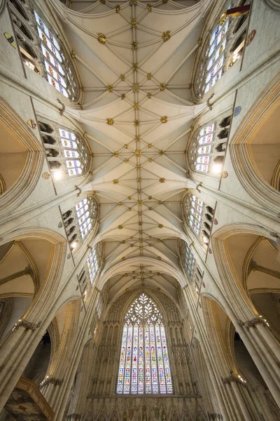 York Minster Cathedral Gotisk Loft England Gotisk Arkitektur England - Stock-foto