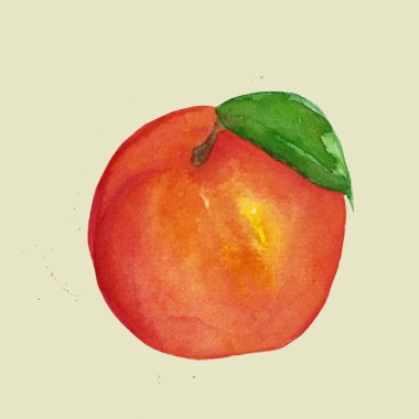 Suluboya izole, yeşil arka plan üzerinde sağlıklı yiyecek şeftali
