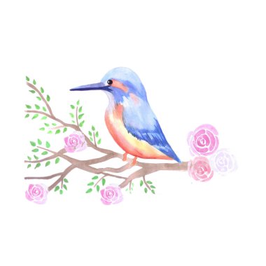 Bir ağaç dalı üzerinde Kingfisher ve pembe güller