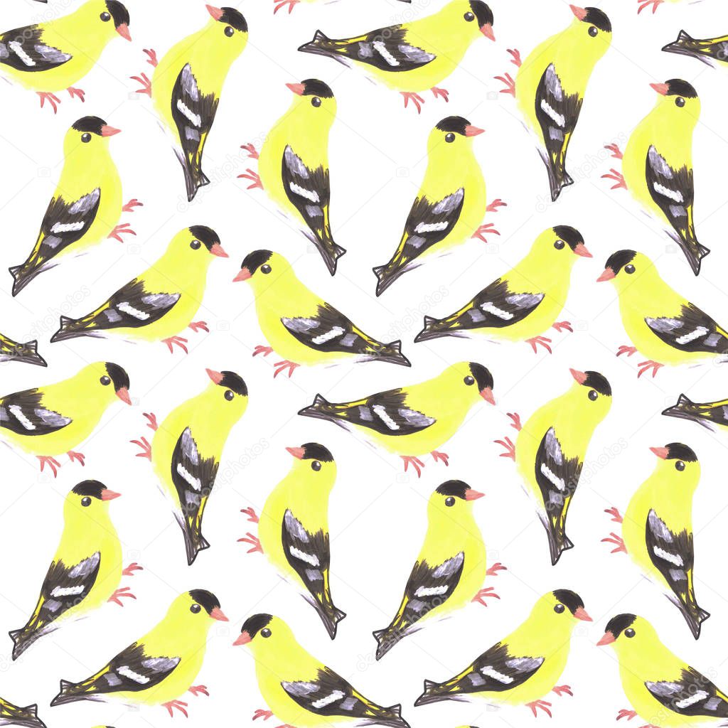 American goldfinch or Spinus tristis bird seamless watercolor birds painting background