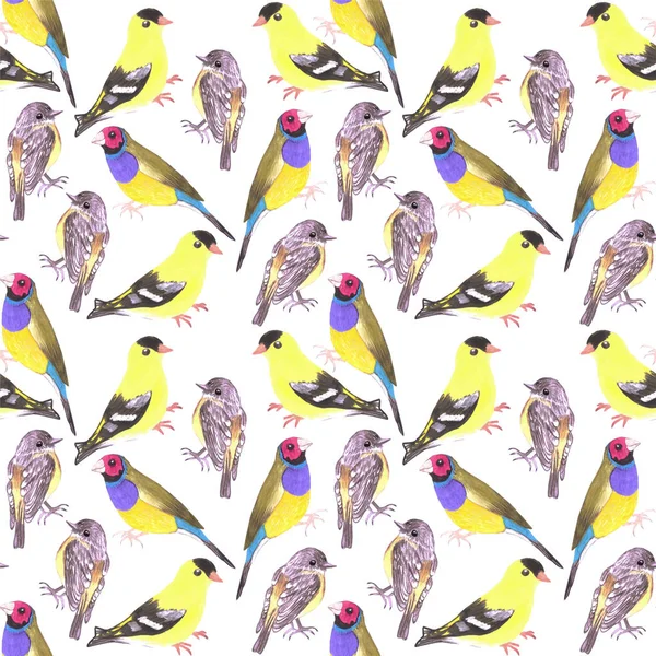 Aves Tintes Tonos Amarillo Acuarela Inconsútil Pájaro Pintura Fondo — Foto de Stock