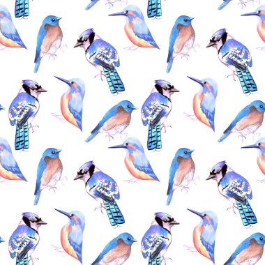 Kuşlar kingfisher, bluejay, bluebird renk tonları ve mavi dikişsiz suluboya arka plan tonları