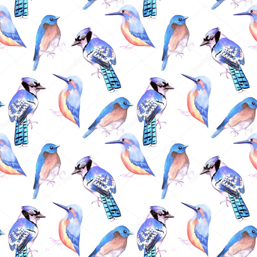Birds kingfisher, bluejay, bluebird in tints and shades of blue seamless watercolor background
