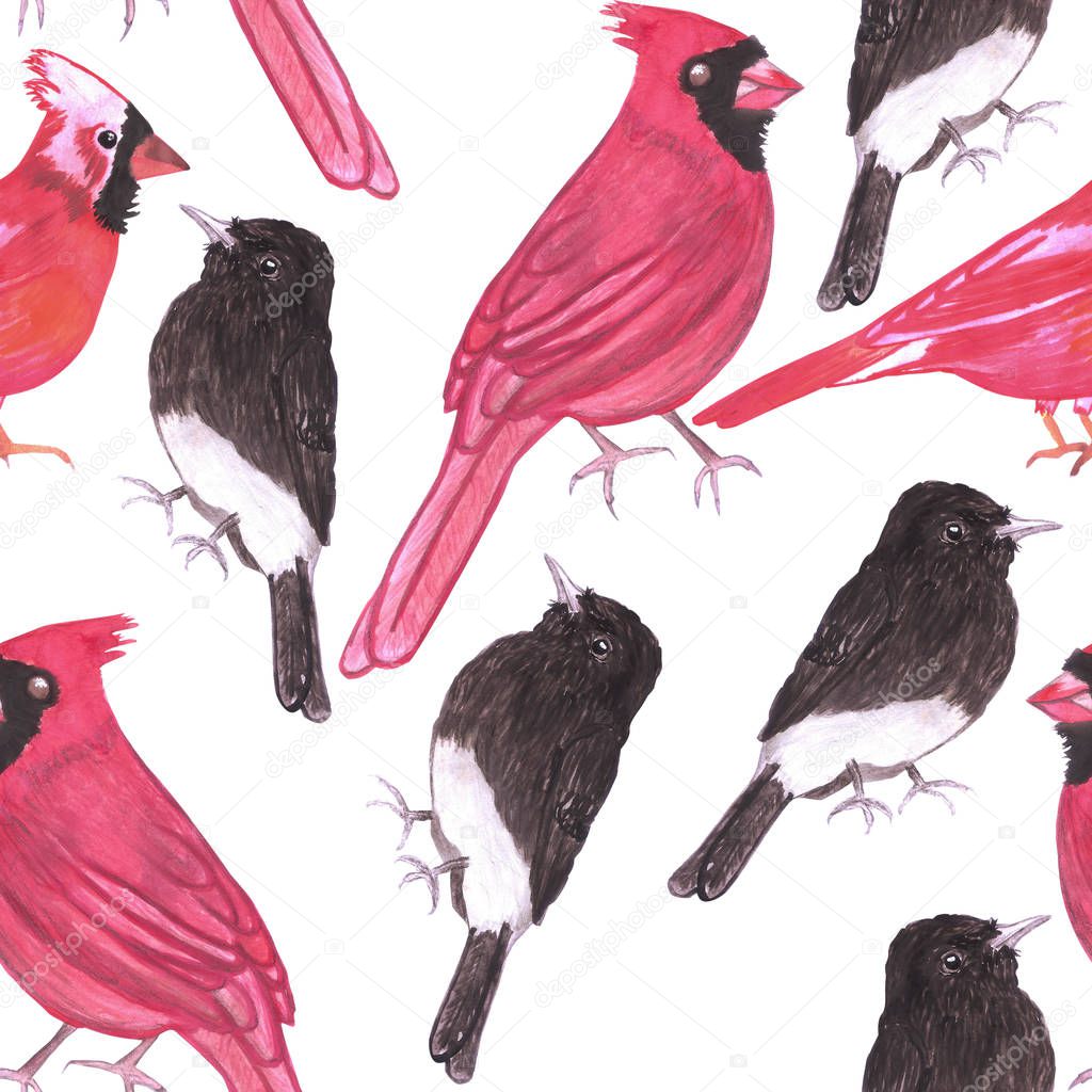 Cardinals and black phoebe seamless watercolor repeat background
