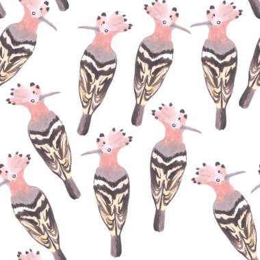 Hoopoe or Upupa epops crown bird seamless watercolor birds painting background clipart