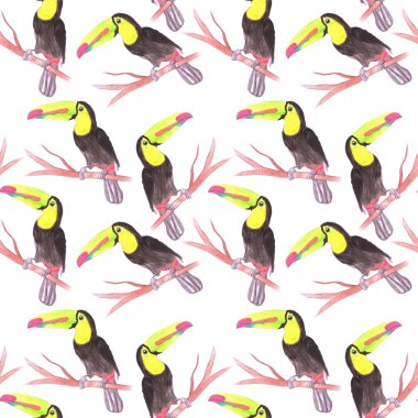 Keel fatura toucan veya Ramphastidae sulfuratus kuş dikişsiz suluboya kuşlar boyama arka plan