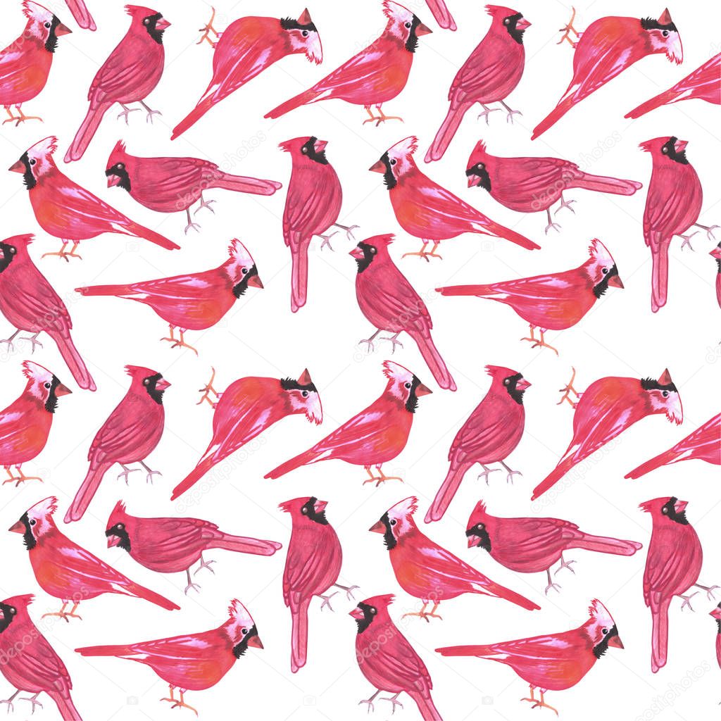 Northern cardinal or Cardinalis cardinalis bird seamless watercolor birds painting background