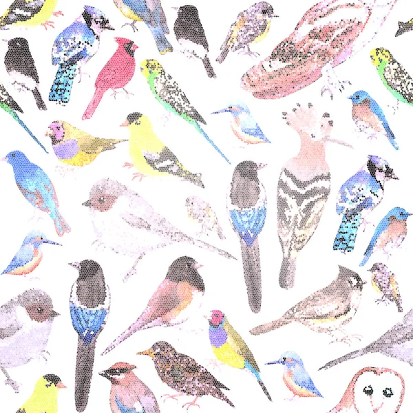 Ptaki Ameryki Zwierzęta Dzikie Ptaki Bez Szwu Mozaiki Tle — Zdjęcie stockowe