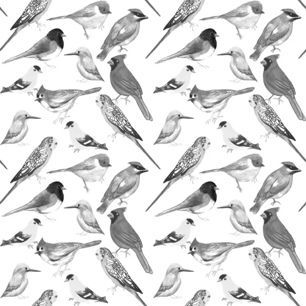 Black White Birds White Background Seamless Artwork — Stock Photo, Image