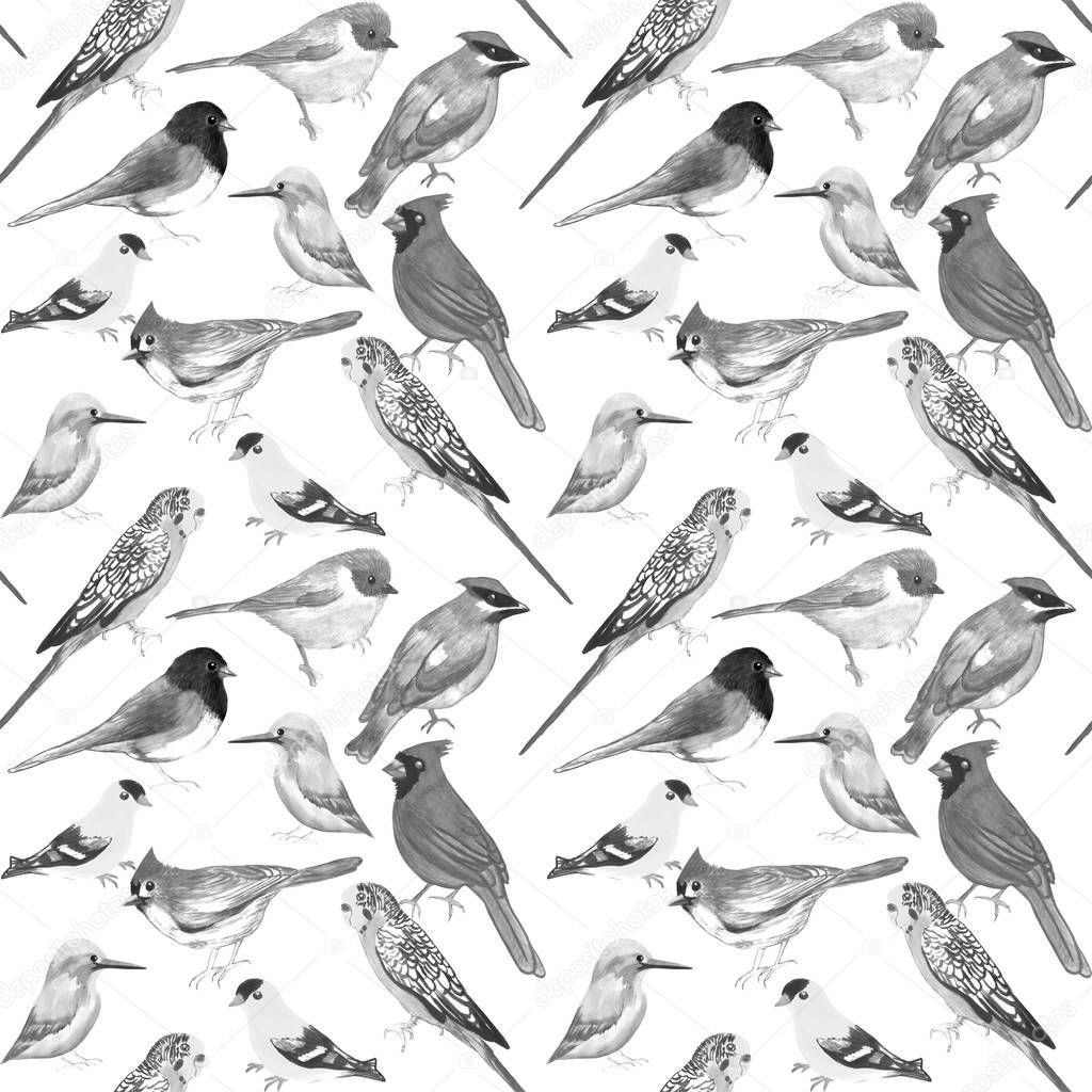 Black and white birds against white background seamless artwork