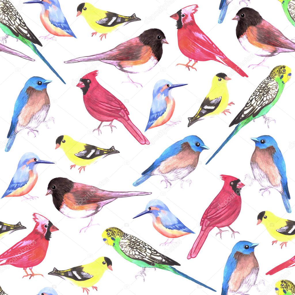 Colorful watercolor birds seamless background in tetrad color scheme