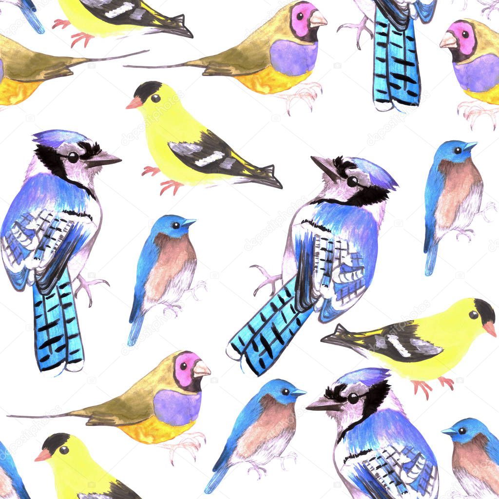 watercolor birds in tetrad color scheme seamless watercolor background-purple yellow, orange, blue
