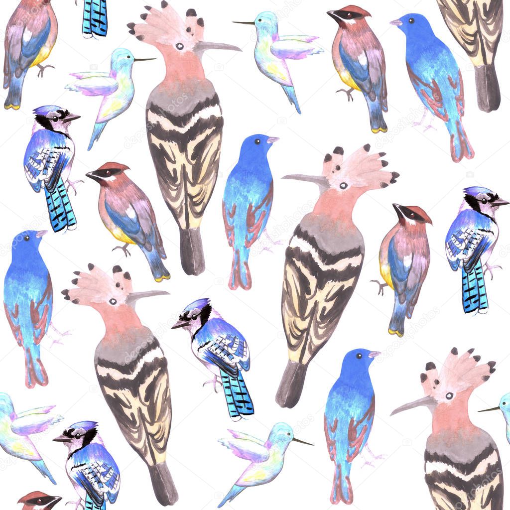 watercolor birds in tetrad color scheme seamless background