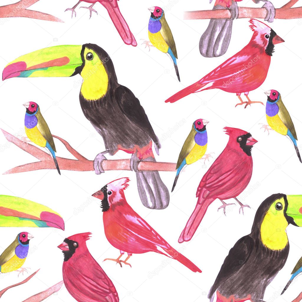 watercolor birds in tetrad color scheme seamless watercolor background-green, yellow, red, blue