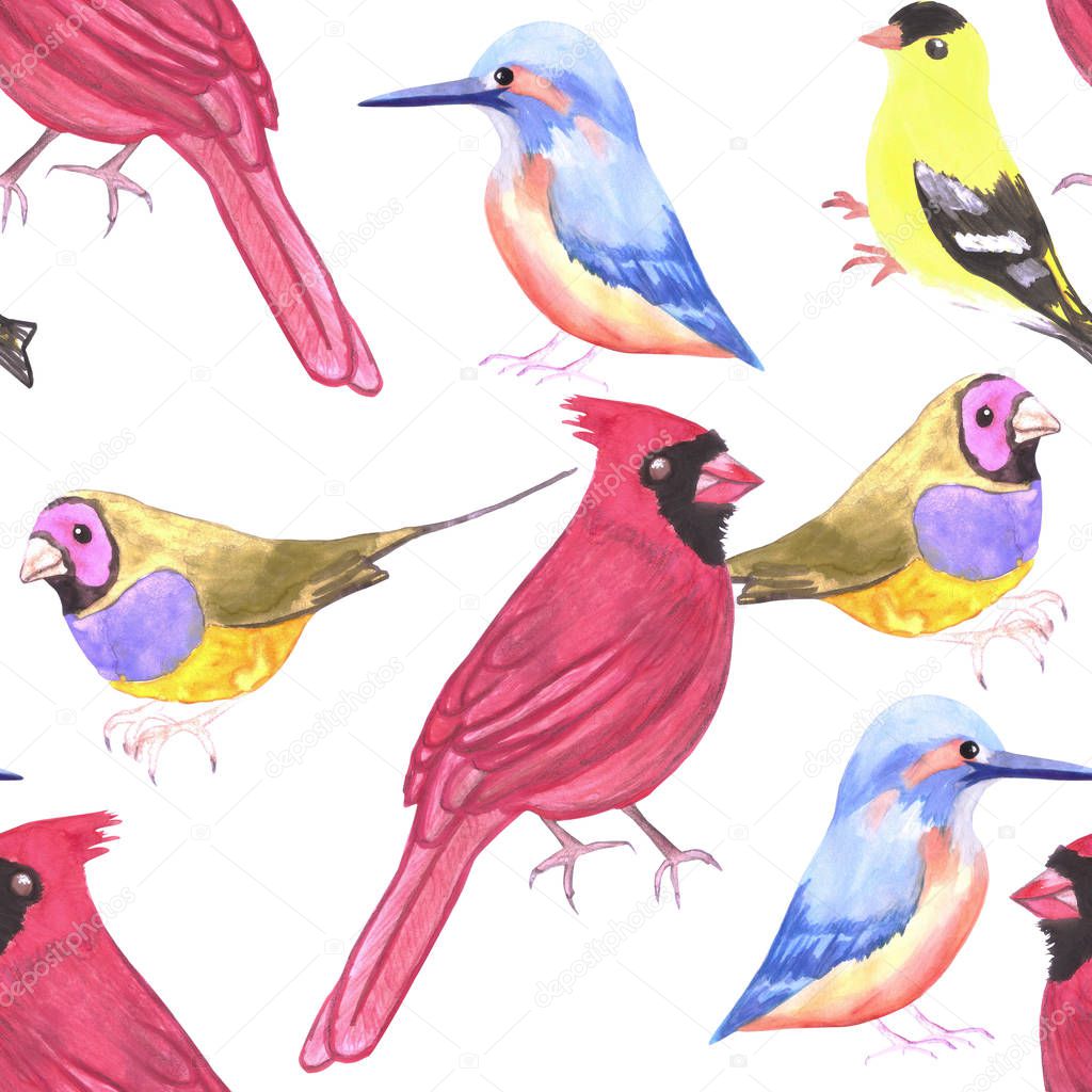 Watercolor Birds in triad color scheme- red, yello, blue