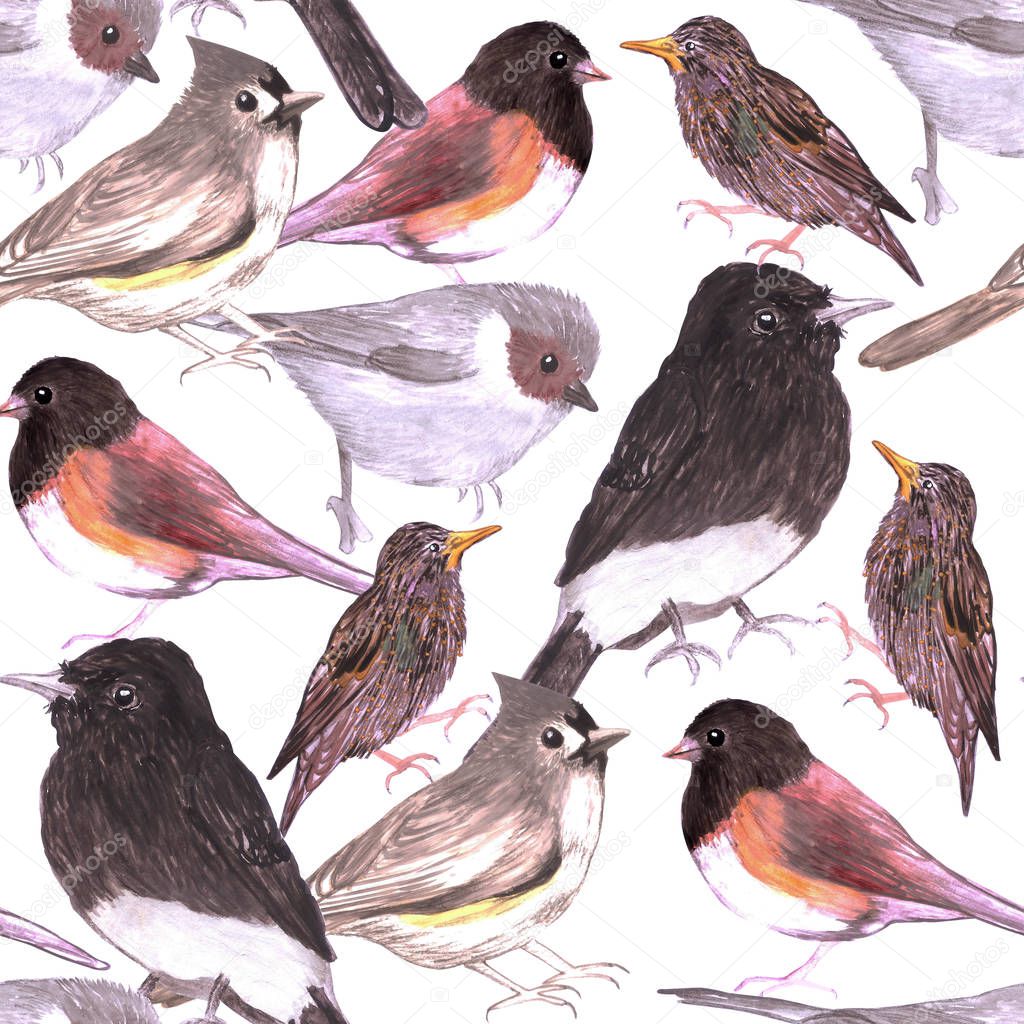 Wild birds seamless background watercolor medium