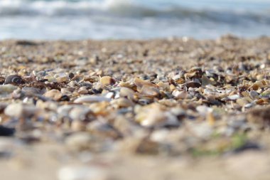 Denizin kenarında sakin sabah