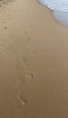 Kumda ayak izleri