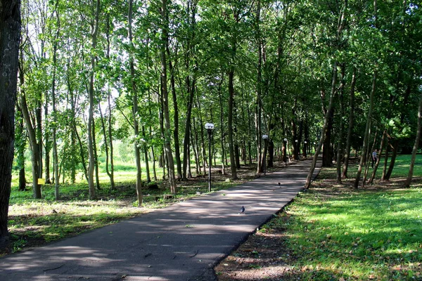 üniversite parkında