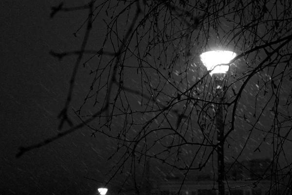 Luzes Noite Inverno Fevereiro — Fotografia de Stock