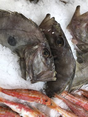 Buz bir pazarda taze deniz ürünleri