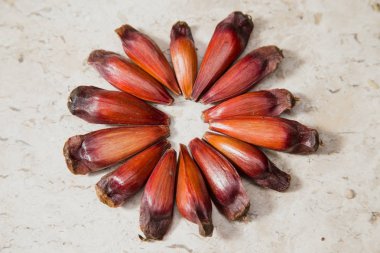 Mermer yüzey üzerinde meyve pinyon.