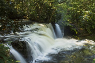 Şelaleler Amazon ormanın ortasında. Uzun pozlama. Ağaçların arasından shinning güneş ışınları. Sayın Başkan Figueiredo, Amazon / Brezilya