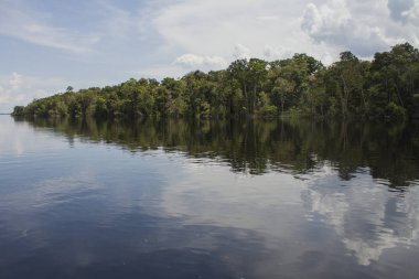 Amazon üzerinden tekne ile yolculuk. Bulutlar ve orman Nehri üzerinde gösterilir. Güneşli bir gün. 'Rio Negro' nehir, Amazon / Brezilya